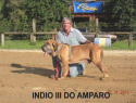 INDIO III DO AMPARO.png